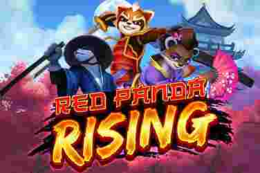 Red Panda Rising GameSlotOnline - Slot online sudah jadi salah satu game kasino yang sangat terkenal di bumi digital.